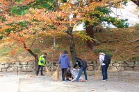 ボランティア活動